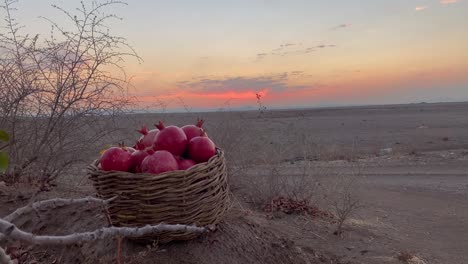 A-basket-full-of-fresh-Fruits-ripe-and-red-organic-agriculture-pomegranate-agriculture-city-of-Aqda-historical-town-in-Yazd-Ardakan-iron-mining-steel-factory-in-Iran-desert-sunset-twilight-garden
