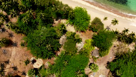 An-overhead-shot-panning-from-bottom-going-up,-to-slowly-reveal-the-sandy-beachfront-and-the-seashore-of-Haad-Tian-beach-located-in-Koh-Tao-in-Surat-Thani-province,-Thailand