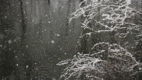 Panorámica-De-Una-Escena-Invernal-Con-Nieve-Cayendo-En-El-Río.
