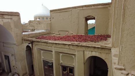 Natural-dry-pomegranate-red-skin-pills-on-rooftop-old-ruins-of-historical-house-in-desert-town-Iran-city-of-Ardakan-Aqda-Yazd-traditional-handmade-carpet-dye-dyeing-skill-fabric-coloring-persian-rug