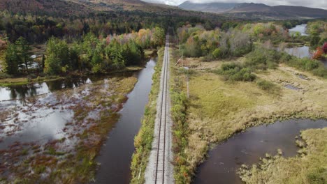Railway-infrastructure-near-fall-forest-and-riverside-swamp-aerial-descending