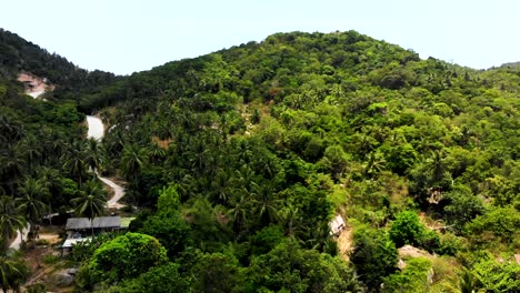 Luftaufnahme-Des-Dschungels-Auf-Der-Insel-Koh-Tao-In-Der-Nähe-Von-Ao-Hin-Wong-Beach,-Thailand
