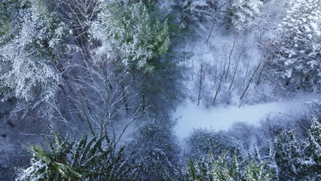 Una-Vista-Desde-Un-Dron-Captura-El-Paisaje-Nevado-De-Un-Bosque-Del-Medio-Oeste-Después-De-Una-Importante-Tormenta-De-Nieve.