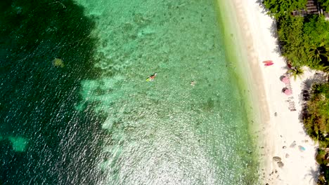 Aerial-drone-shot-hovering-over-Sai-some-tourists-at-the-beachfront-who-are-paddling-their-kayaks-in-the-crystal-clear-waters-of-Sai-Daeng-beach-in-Koh-Tao-island-in-Surat-Thani-province-in-Thailand