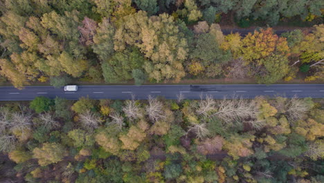 Aerial-view-of-a-road-with-a-van,-cutting-through-a-vibrant-autumn-forest