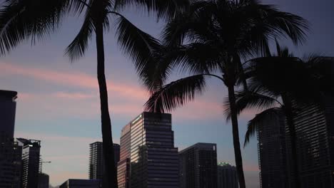 Sonnenuntergang-Hinter-Miami-Palmen