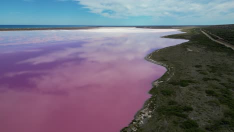 Reverse-Dolly-aerial-view-of-the-banks-of-Hutt-Lagoon-Pink-Lake-in-Western-Australia,-near-Kalbarri