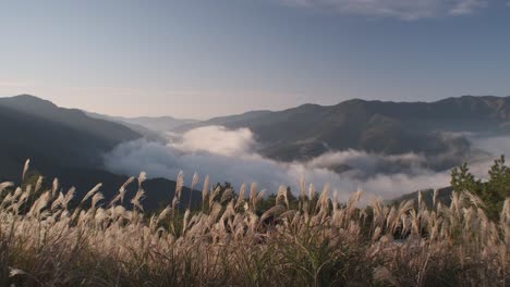 Timelapse-of-sunrise-over-the-Iya-Valley-in-Shikoku,-Japan