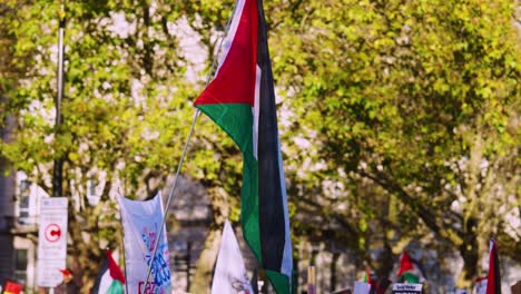 Palestinian-Flag-at-National-March-for-Ceasefire-in-Palestine-and-Gaza-in-London