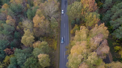 Aerial-view-of-a-car-on-a-forest-road,-Hel-Peninsula