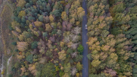 Bird's-eye-view-of-a-road-cutting-through-autumn-woods,-Hel-Peninsula