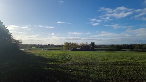 Fresh-new-growth-crops-growing-in-autumn-seasonal-fertile-agricultural-farmland-meadow-in-rural-England