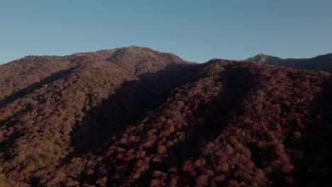 Fly-over-the-mountains-of-Shikoku-in-autumn,-with-the-red-foliage-in-Japan
