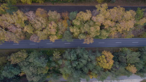Aerial-shot-of-a-road-dividing-a-dense-mix-of-green-and-autumn-colored-trees