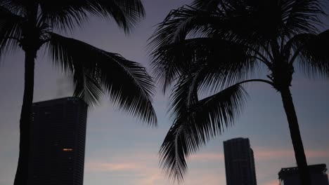 Sonnenuntergang-Hinter-Miami-Skyline-Silhouette-Palmen