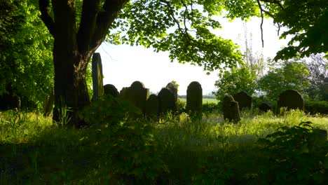 Forbidden-Celtic-Graveyard-With-Headstone-Under-The-Trees-In-Wexford,-Ireland