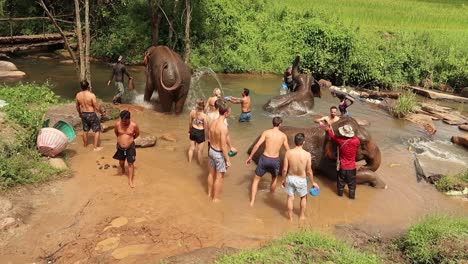 Young-people-splashing-water-and-giving-elephants-mud-bath-at-park-creek