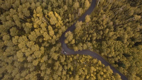 Aerial-take-off-over-Alpine-Loop-road-in-canyon-among-yellow-fall-forest