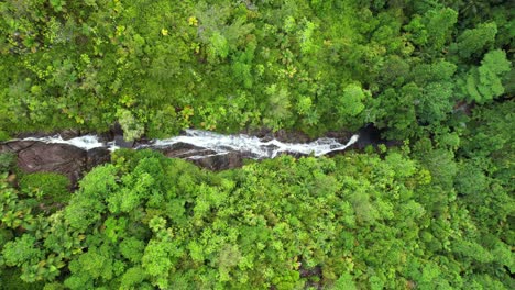 Bird-eye-drone-of-sauzier-waterfall,-dense-tropical-forest-with-palm-trees-and-granite-stone,-Mahe-Seychelles-30fps-1