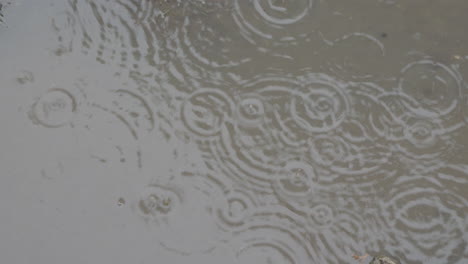 Regentropfen-Fallen-An-Einem-Regnerischen-Tag-In-Eine-Wasserpfütze