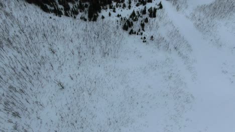 Drohnenansicht-In-Der-Gegend-Von-Tromso-Im-Winter,-Die-über-Einen-Schneebedeckten-Berg-Fliegt-Und-Einen-Blattlosen-Baumwald-In-Segla,-Norwegen,-Zeigt