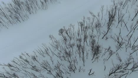 Drohnenansicht-In-Der-Gegend-Von-Tromso-Im-Winter,-Die-über-Einen-Schneebedeckten-Berg-Fliegt-Und-Einen-Blattlosen-Baumwald-Von-Der-Spitze-In-Segla,-Norwegen,-Zeigt