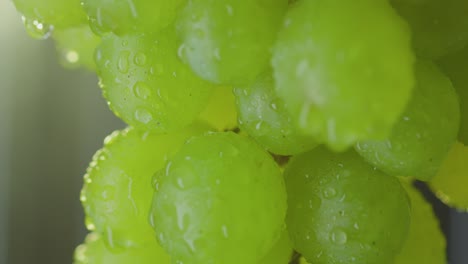 Ein-Bündel-Grüner,-Nasser-Weintrauben-Dreht-Sich-Um