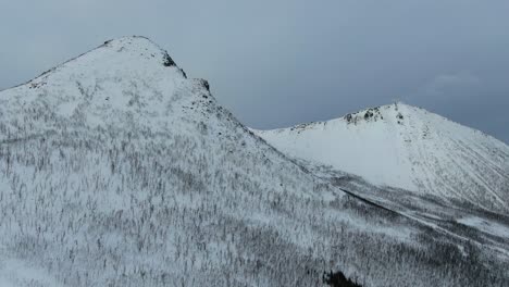 Drohnenansicht-In-Der-Gegend-Von-Tromso-Im-Winter,-Die-über-Einen-Schneebedeckten-Berg-Fliegt-Und-Einen-Blattlosen-Baumwald-In-Segla,-Norwegen,-Zeigt