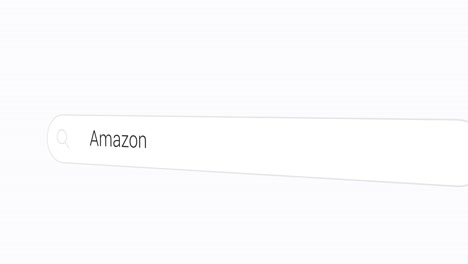 Geben-Sie-Amazon-In-Die-Suchmaschine-Ein