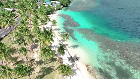 Aerial-View-Of-Ta'ahiamanu-Beach-With-Tropical-Palm-Tees-And-Clear-Water-In-Moorea,-French-Polynesia