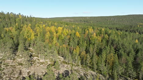 Schwedischer-Herbstwald-Im-Naturpark-An-Sonnigen-Tagen-In-Schweden,-Europa