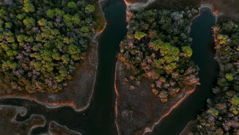 Aerial-drone-footage-of-coastal-lagoon-swamp-salt-lake-with-pine-trees-at-sunset
