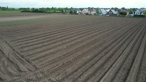 Approach-Drone-Shot-of-a-field-of-Asparagus-in-Germany