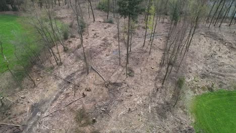 A-strafe-drone-shot-of-a-forest-dieback-nearby-Cologne