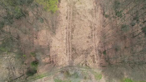 Eine-Draufsicht-Mit-Einer-Drohne-Eines-Waldsterbens-In-Der-Nähe-Von-Köln,-Deutschland