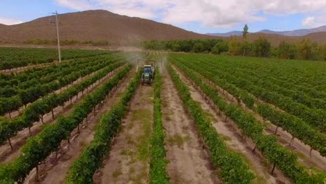 aerial-view-with-drone-of-the-mechanical-fertilization-of-the-grape-crop,-Parras-de-la-Fuente,-Coahuila,-Mexico