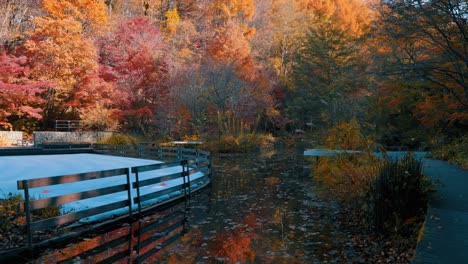 Schöner-Herbstpark,-Bunte-Blätter-Und-Bäume