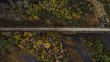 Train-Track-Surrounded-By-Forest-And-River-During-Fall,-Top-Down-Shot