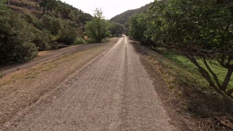 Time-lapse-Del-Conductor-De-La-Motocicleta-A-Través-De-Un-Camino-Forestal-Rodeado-De-Grandes-árboles-Verdes