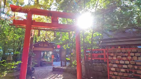Golden-Autumn-in-Japan,-beautiful-red-torii-gate-of-shinto-in-a-calm-forest-in-fall