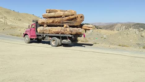 A-truck-carrying-stumps-after-cutting-cedar-trees-for-wood-production,-the-deforestation-and-environmental-impact