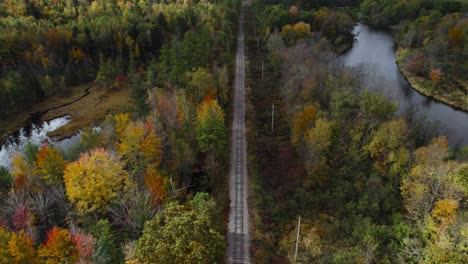 Railway-Surrounded-By-Forest-Wilderness-And-River-In-Fall,-Aerial-Shot