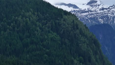 Fast-Den-Himmel-Berührende,-Alpine-Bergkette-Und-Wunderschöne-Grüne-Wälder