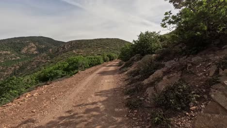 Time-lapse-Del-Conductor-De-La-Motocicleta-A-Través-De-Un-Camino-Forestal-Rodeado-De-Grandes-árboles-Verdes