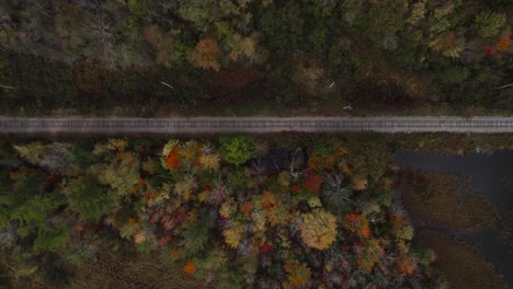 Train-Railway-In-A-New-Hampshire-Forest-During-Fall,-Top-Down-Aerial