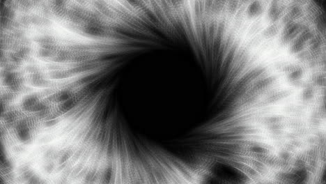 Black-hole-core-simulation-with-matter-disappearing-beyond-event-horizon