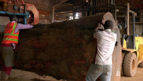 team-of-black-African-labor-working-class-on-sawmill