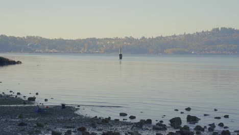 A-seagull-walks-across-shoreline-with-calm-waves-and-scattered-rocks