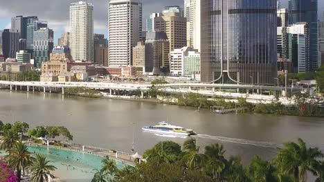 Drone-ascends-tropical-trees-to-reveal-ferry-on-Brisbane-River,-city-skyline-behind