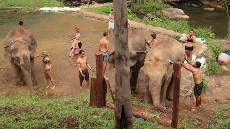 Touristen-Baden-Elefanten-Im-Schutzgebiet-Im-Schlamm-Und-Reiben-Ihre-Haut-Mit-Grubenschmutz-Ein